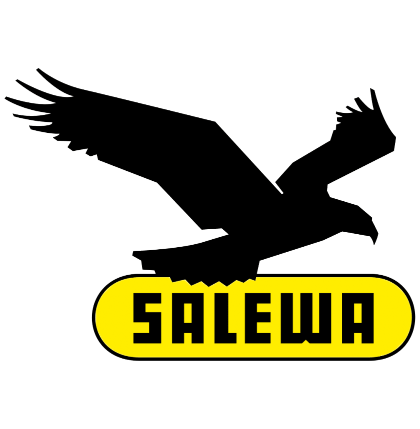 Zapatillas Salewa